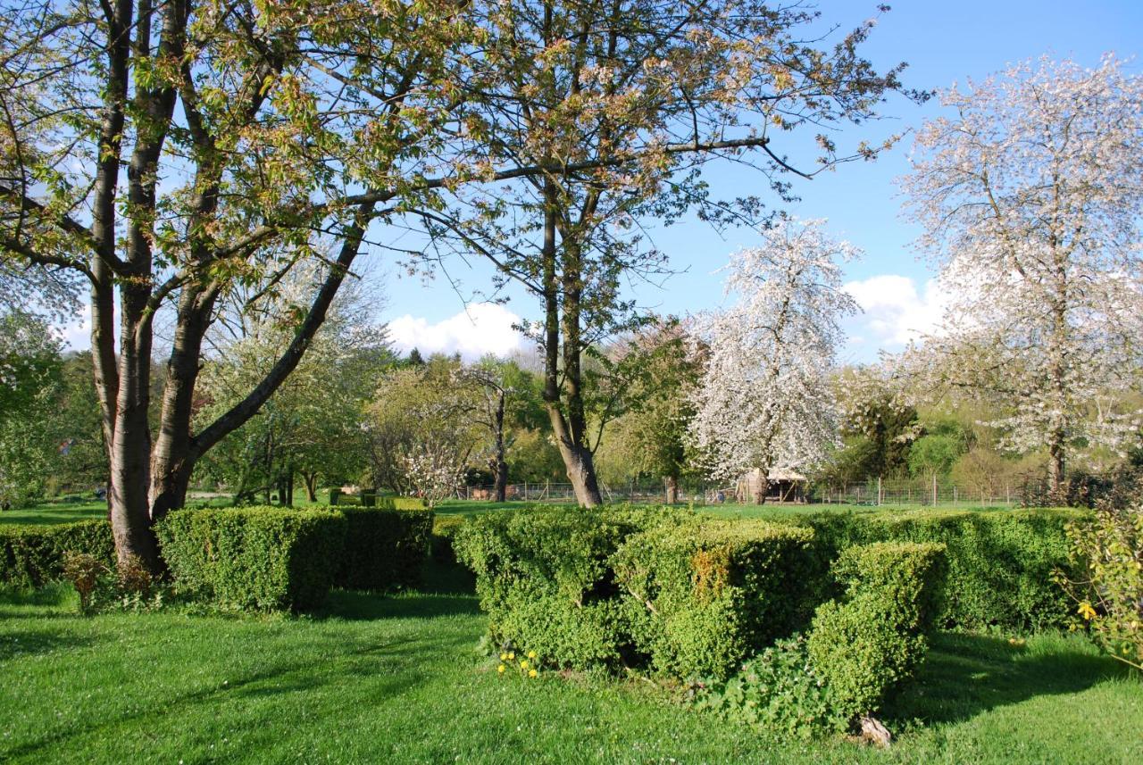 Gites Aux Fleurs De Cerises Le Plessis-Luzarches Esterno foto